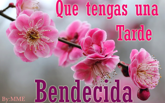 imagenes-buenas-tardes-feliz-tarde-buena-tarde-78