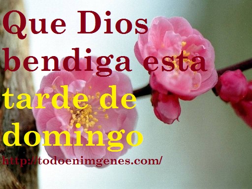 gr_9909_494115_907479