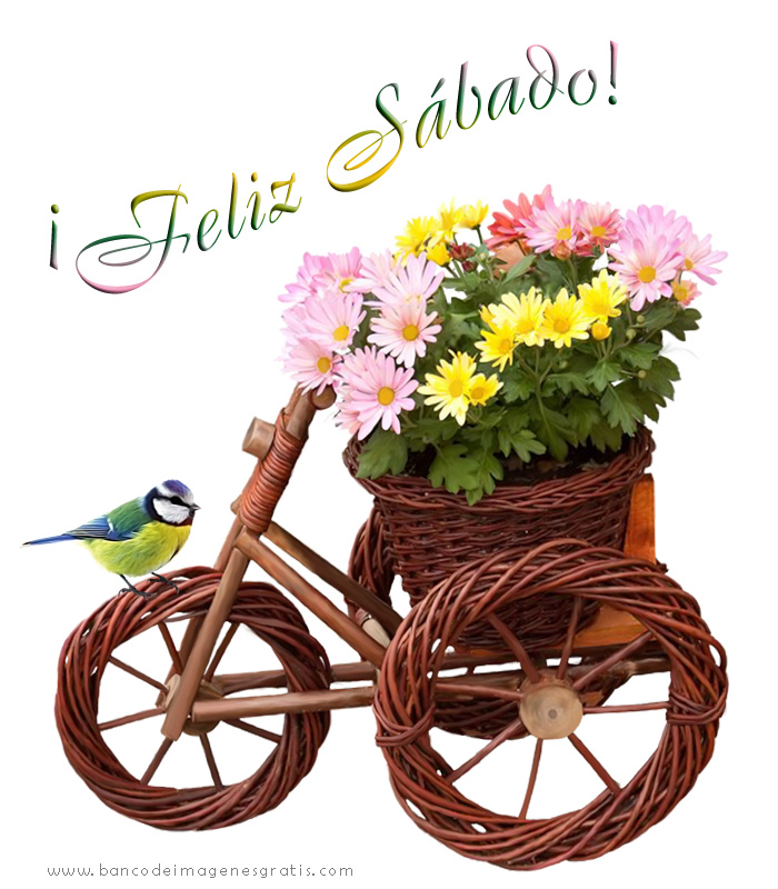 ▷ Imágenes de flores para decir feliz sábado