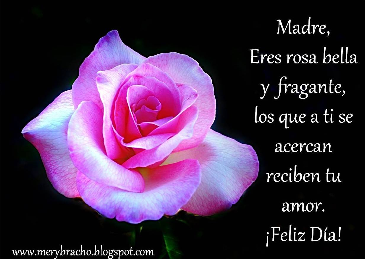 postal madre eres rosa bella