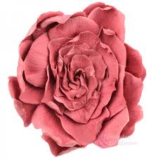 gardenias-de-colores-2