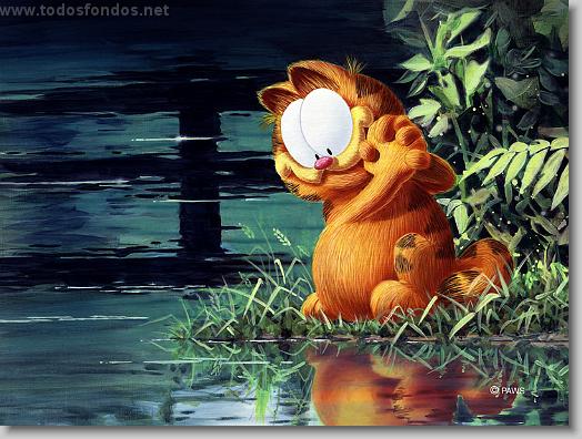 There's Too Much to Admire