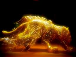 Imágenes - de - gatos - en - 3d - para - fondo de pantalla 0