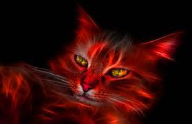 Imágenes - de - gatos - en - 3d - para - fondo de pantalla 3