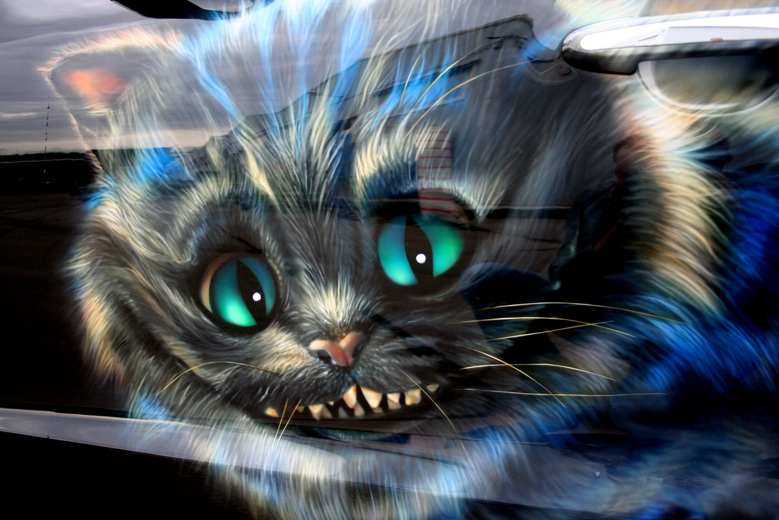 Imágenes - de - gatos - en - 3d - para - fondo de pantalla 6