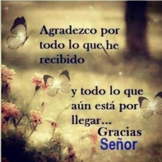 db8ba7d7879e64396edb4990b4ede4fe