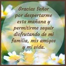 ▷ Imágenes de gracias señor