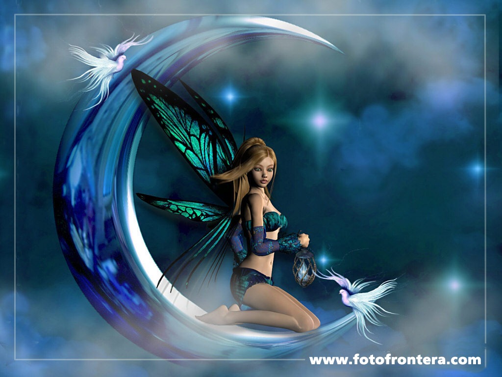 Bella-hada-de-las-aves-sobre-la-luna