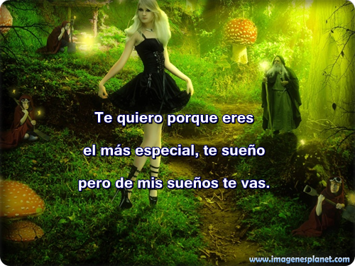 imagenes de amor con frases de amor