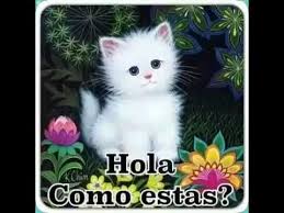 imagenes-de-hola-en-senor-te-bendiga-12