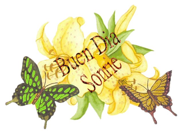 imagenes-de-hola-feliz-dia-amiga-con-movimiento-5