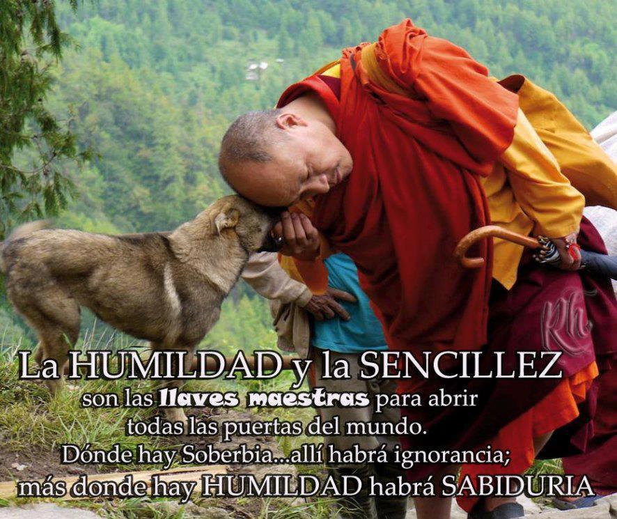 ▷ Imágenes de humildad