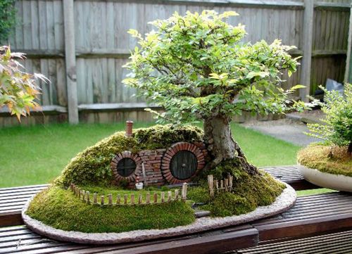 bonsai