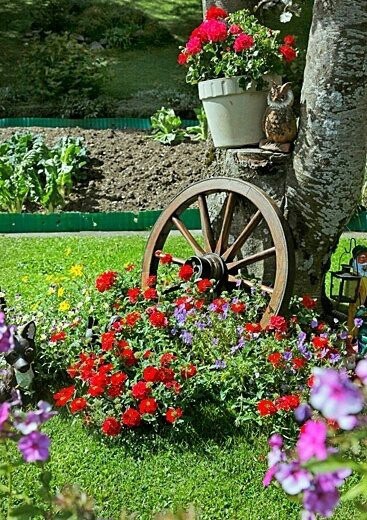 ▷ Imágenes de jardines de flores