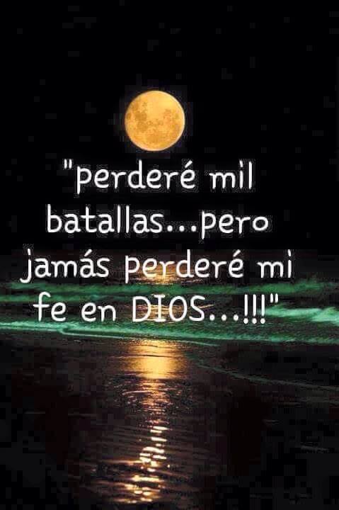 12459813_438362786374905_1109580382_n