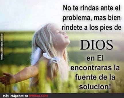 12460080_438362739708243_1740126640_n