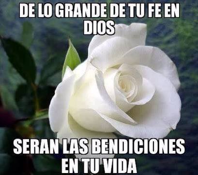 12468148_438362709708246_1387609208_n