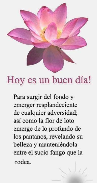 ▷ Imágenes de la flor de loto con frases