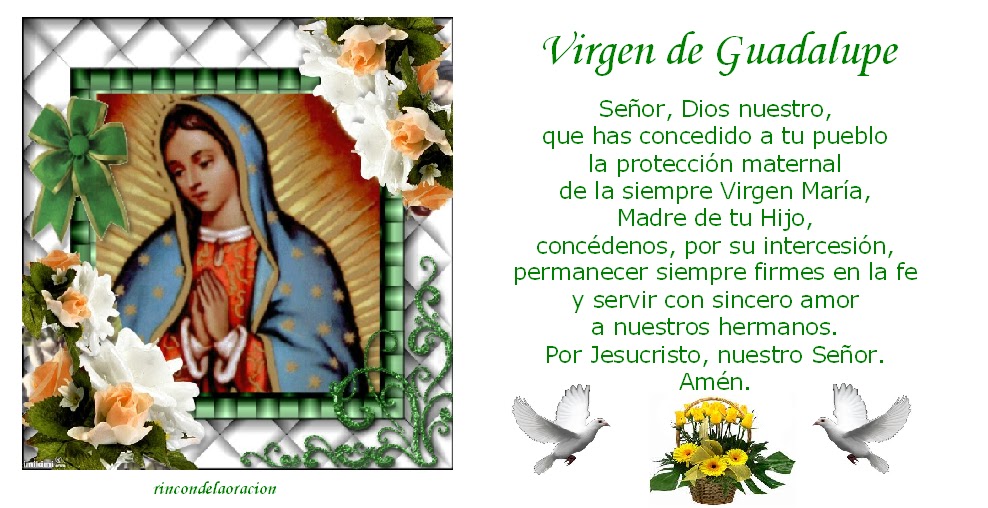 virgen guadalupe2