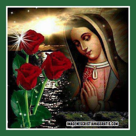 imagenes-de-la-virgen-de-guadalupe