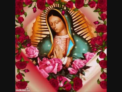 ▷ Imágenes de la virgen de guadalupe con rosas