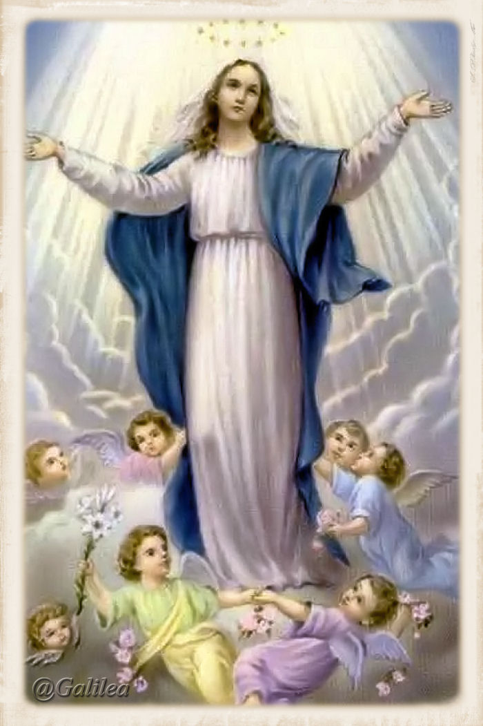 ▷ Imágenes de la virgen de la asunción