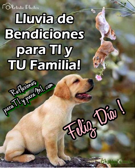 1237986_521527487944206_117034967_n