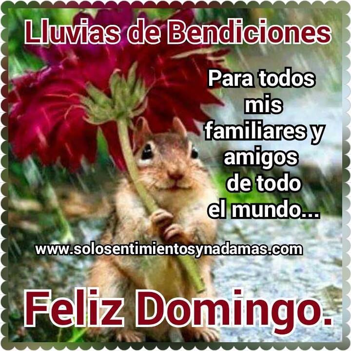 12313682_934195119949723_289927007419863243_n