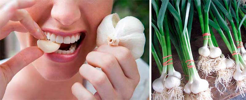 beneficios-de-comer-ajo-crudo