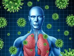 beneficios-de-comer-ajo-crudo-1