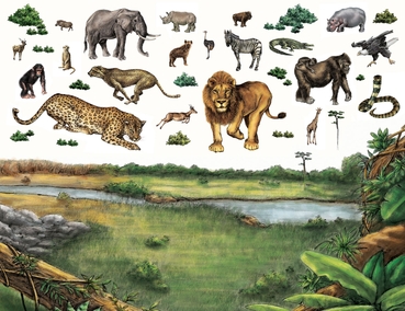 animales - terrestres 6