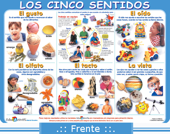 LOS_CINCO_SENTID_4d4886dbefeb5