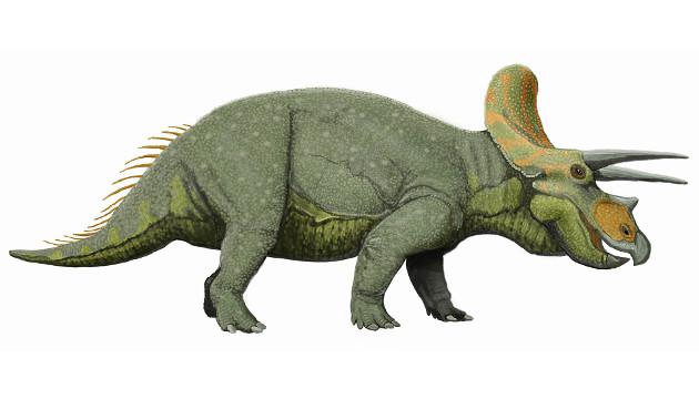 dinosaurio Triceratops