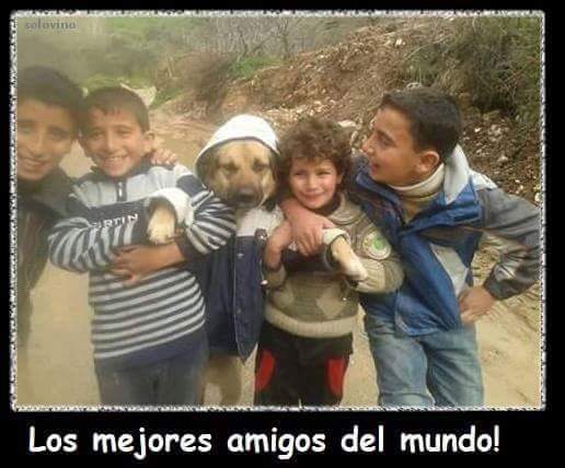 12798850_747563642046834_9015725921660387701_n