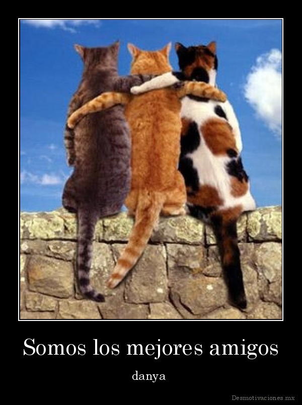 desmotivaciones.mx_Somos-los-mejores-amigos-danya-_133173627498