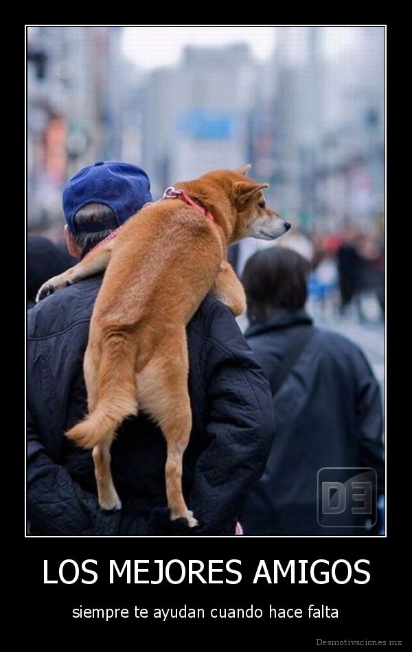 ▷ Imágenes de los mejores amigos
