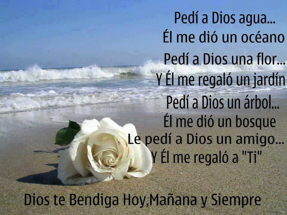 ▷ Imágenes de luto por la pérdida de un ser querido