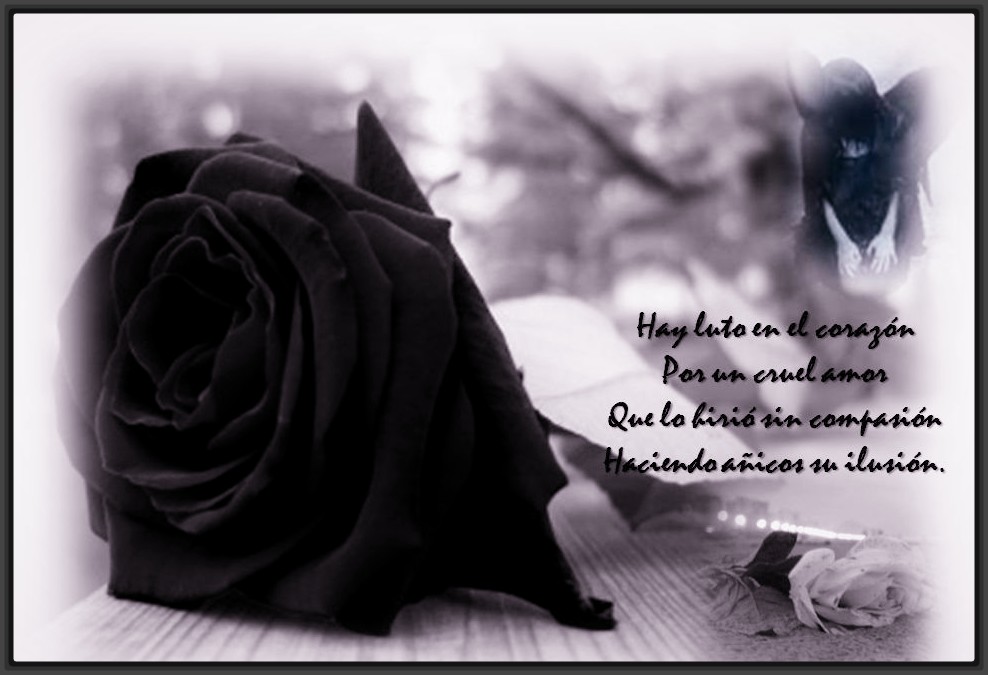 ▷ Imágenes de luto por un amigo