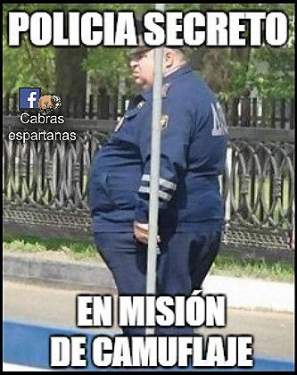 ▷ Imágenes de memes chistosos de gordos