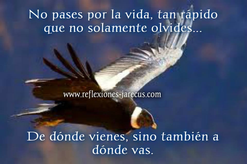 No pases por la vida tan rápido