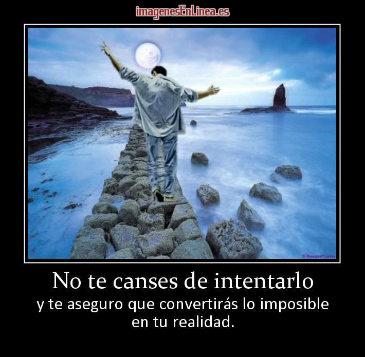 no-te-canses-de-intentarlo.