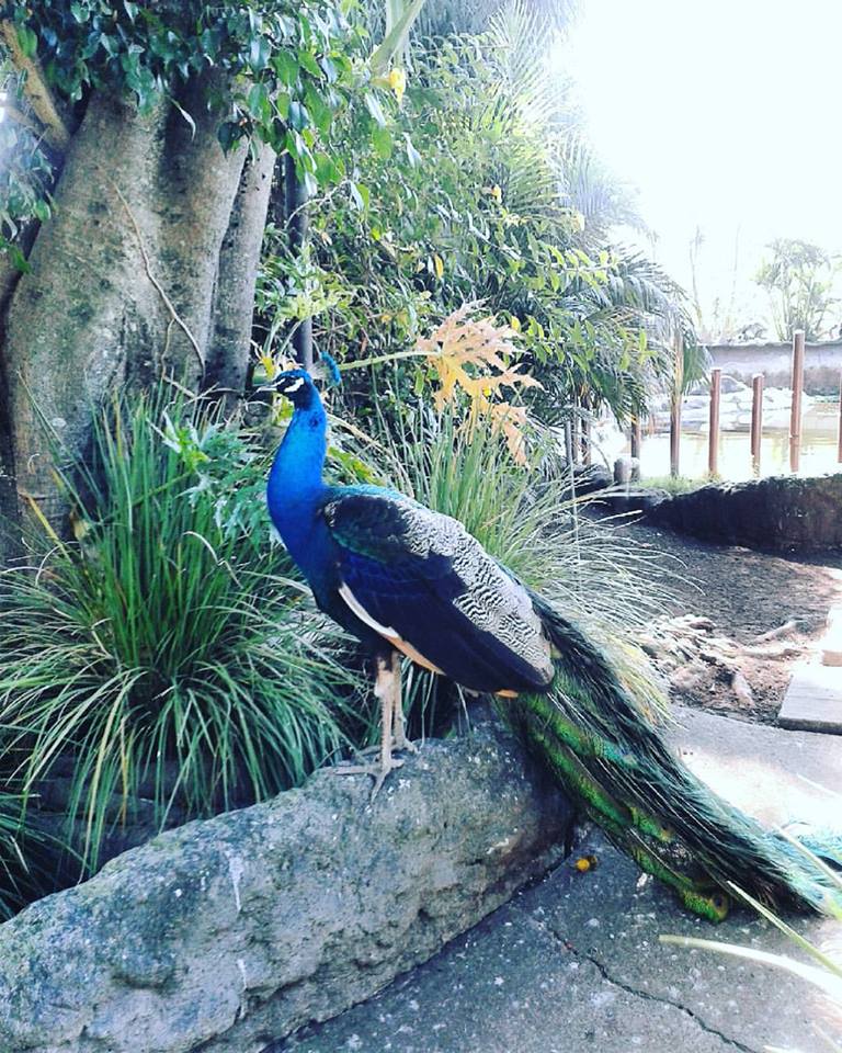 10398541_1123981137621558_6312761475484084379_n