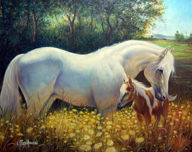 996d82451e4d96fb16931b5d952067cb