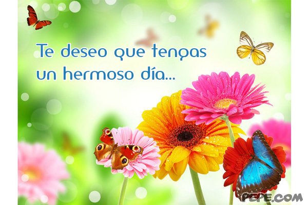 te_deseo_que_tengas_un_hermoso_dia_14
