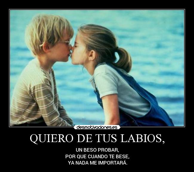 BESO_1