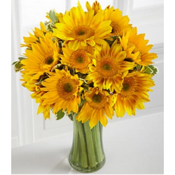 ramos-de-flores-girasoles-para-cumpleanos