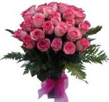 thump_2060937imagesrosas