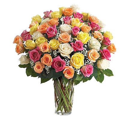 cache_430_400_1_0_80_16777215_1064Mz copia