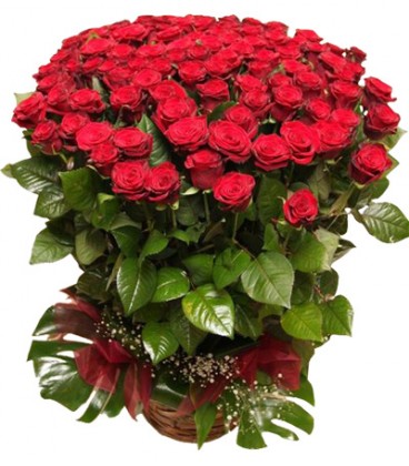 ▷ Imágenes de ramos de rosas para cumpleaños