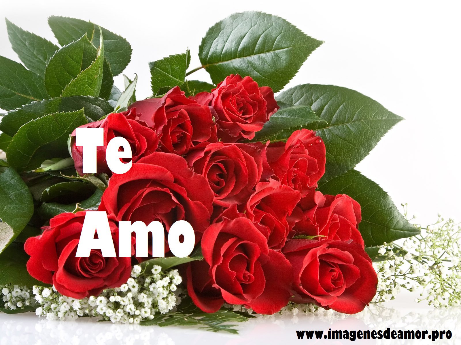 rosas_ramo-rojo